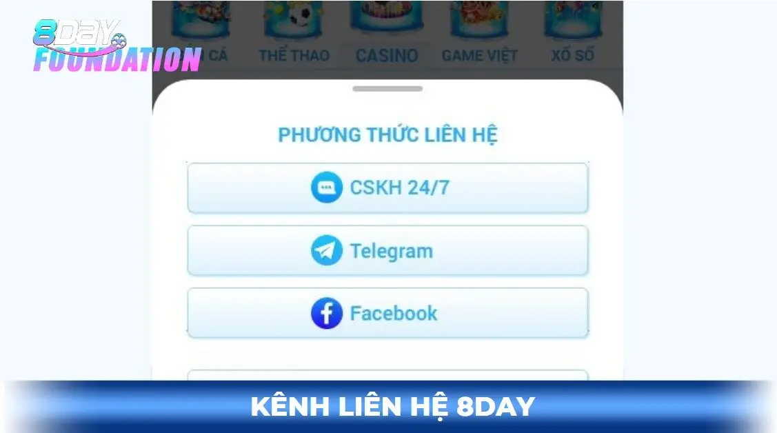 Các kênh liên hệ 8day